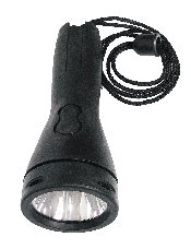 TORCH